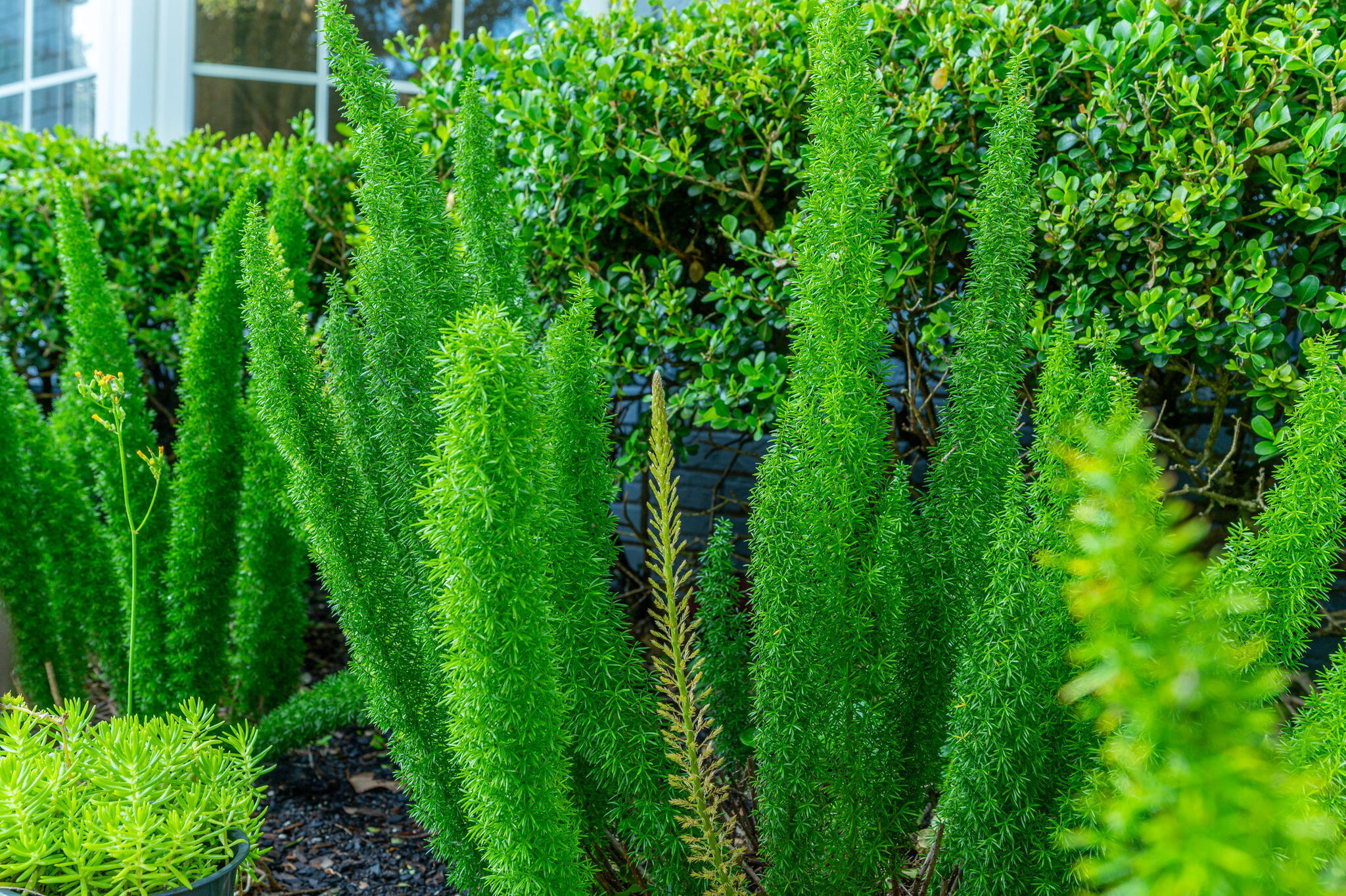 LAKE LORRAINE ESTATES 2 - Residential