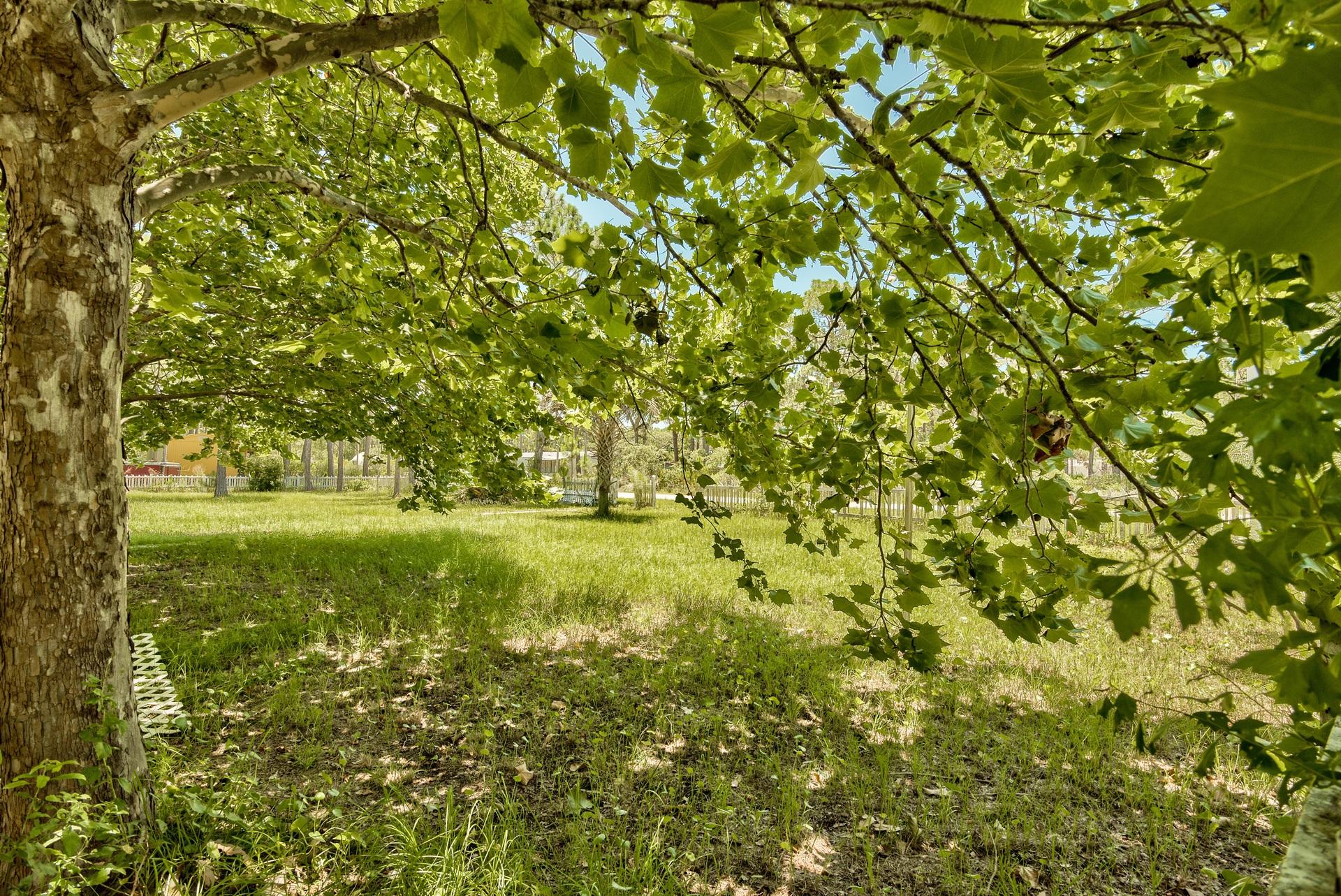 GULF SHORE MANOR - Residential