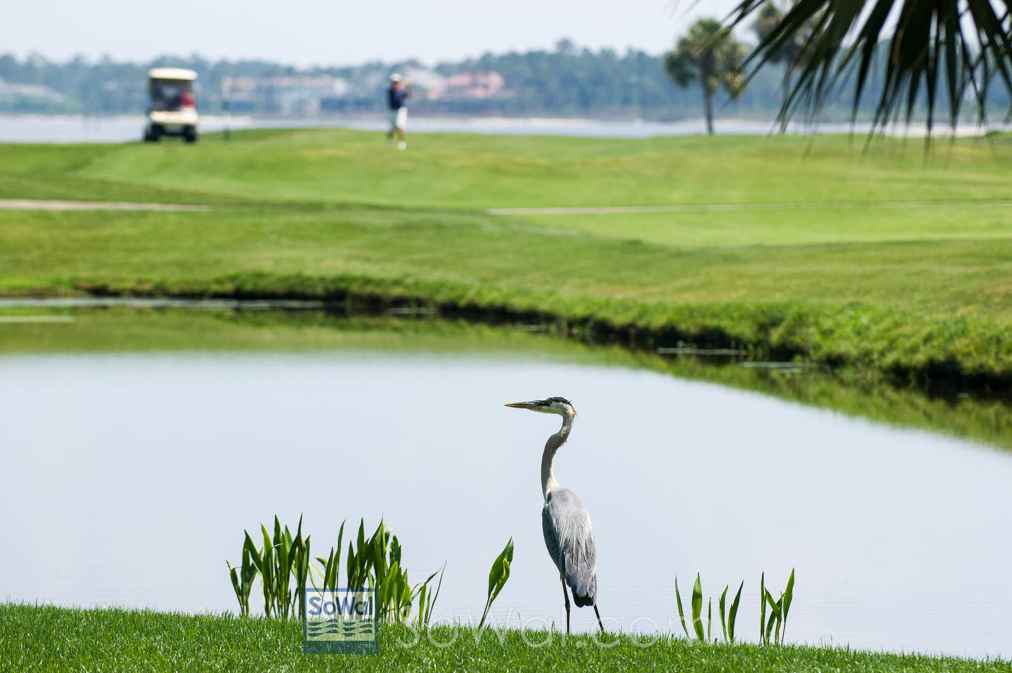 LUAU I - Residential