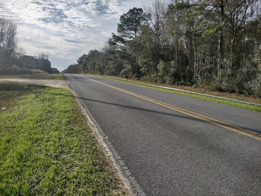 60 acres ready for your dreams. Wooded with many trees and brush varieties with a small creek. Land has a gentle slope towards creek.All dimensions are taken from public records and should be verified by buyer and buyers agent