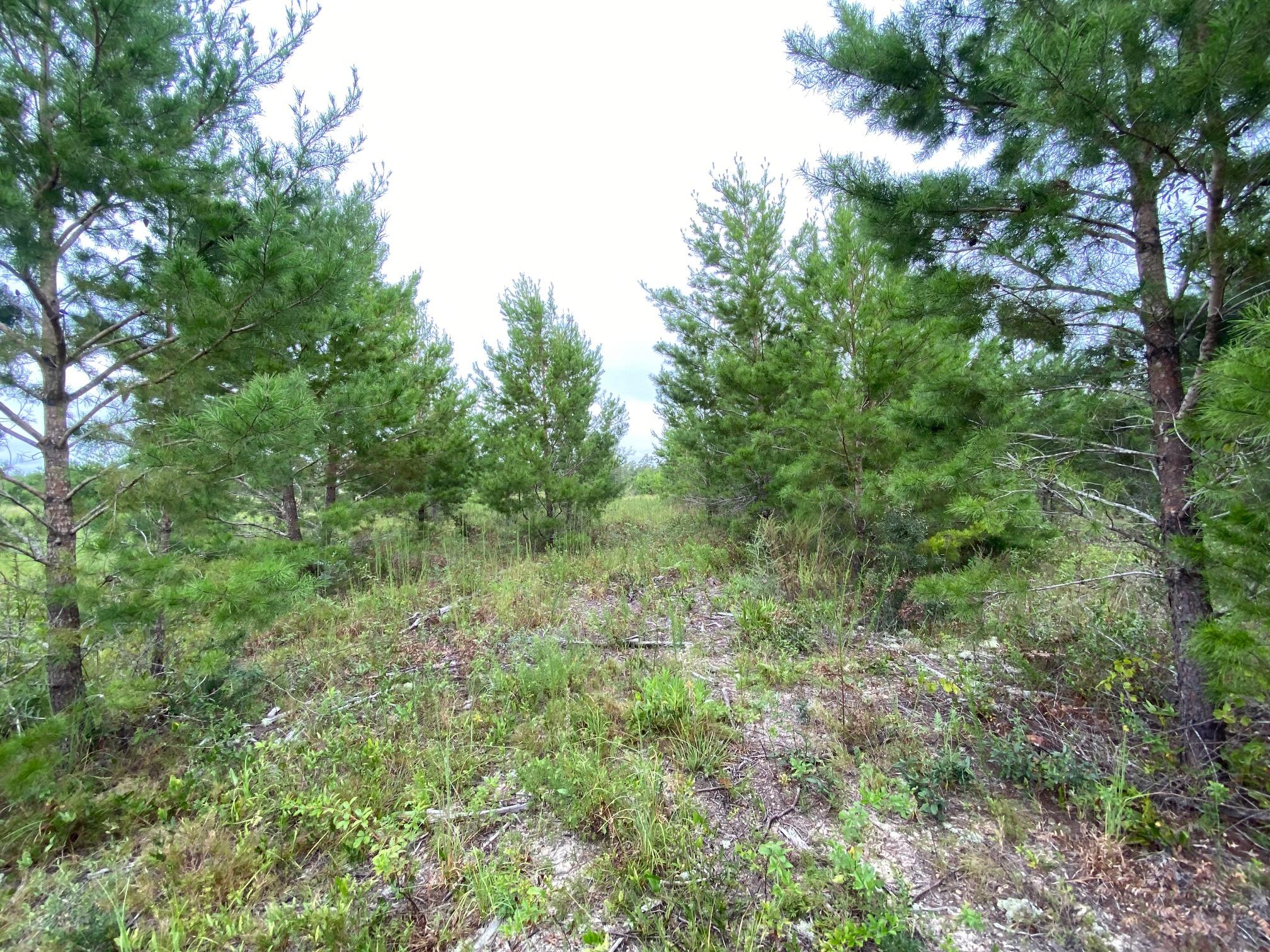 METES & BOUNDS - Land