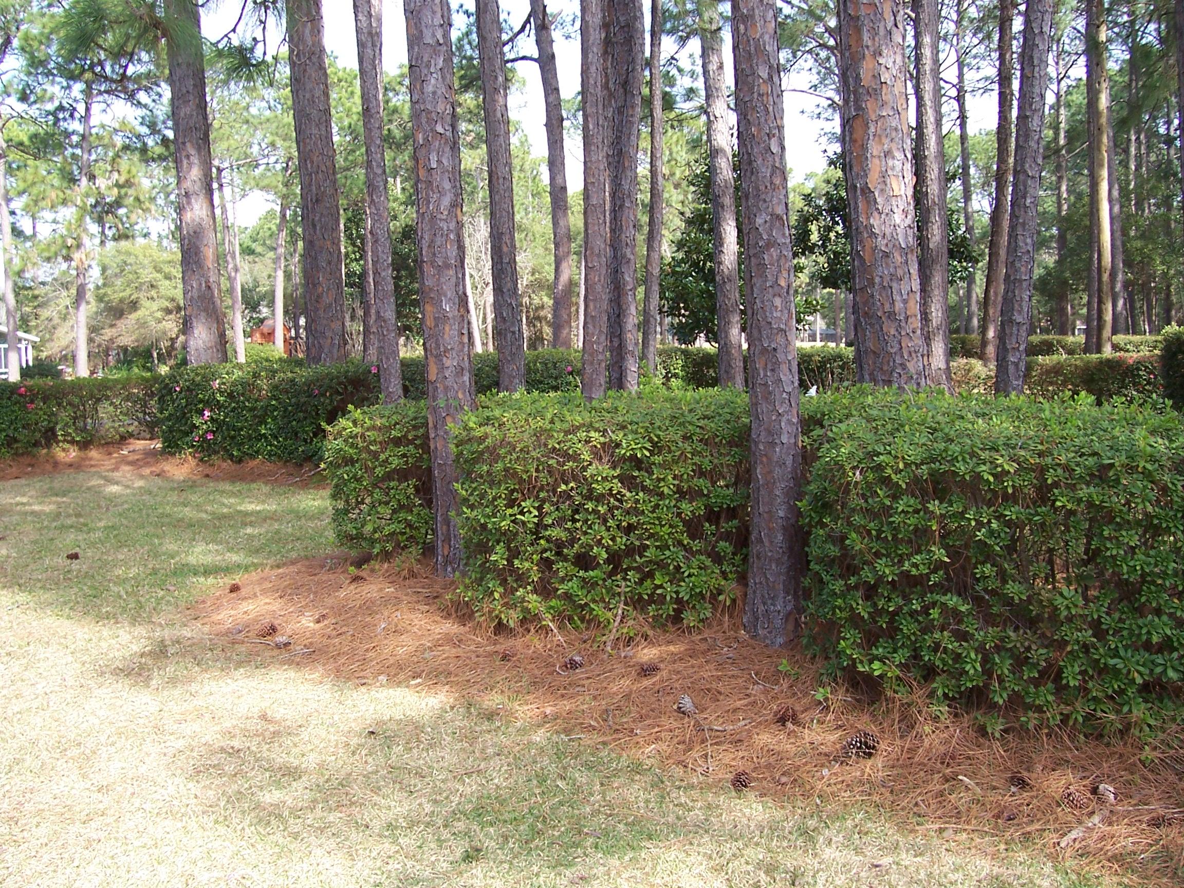 ST ANDREWS WEST BLUEWATER BAY 2 - Residential