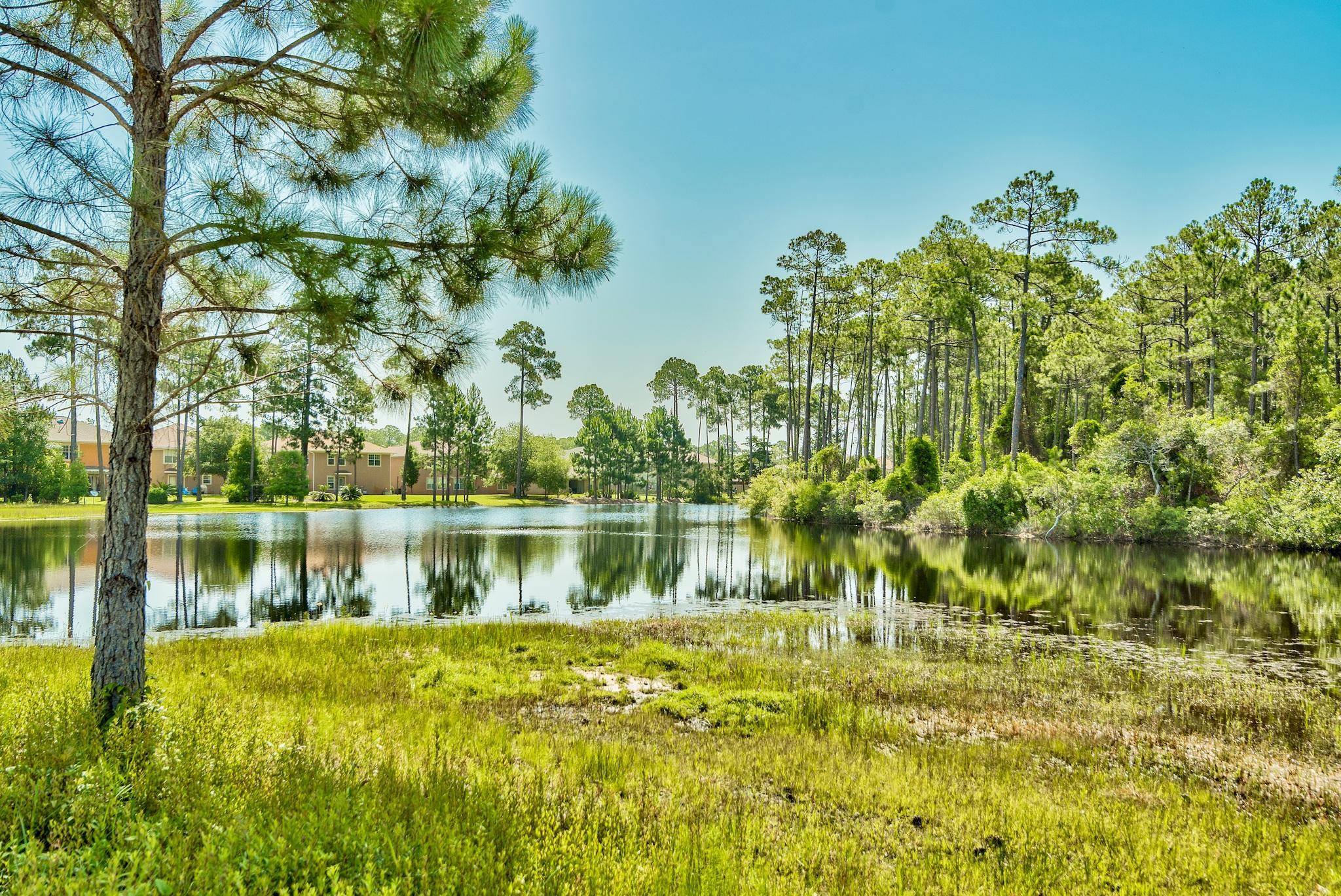 DRIFTWOOD ESTATES - Residential