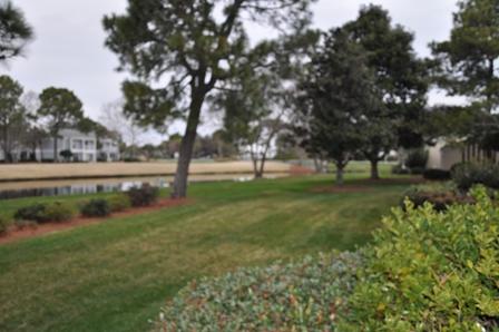 Bayou Phase 2 - Residential