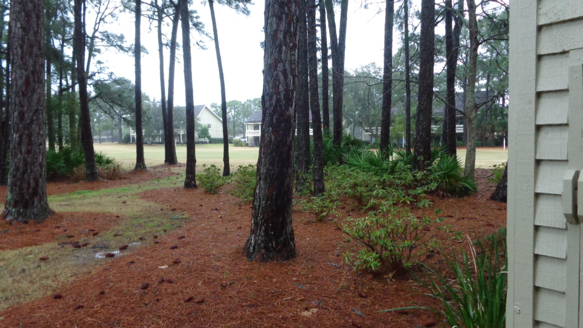 SEASCAPE CONDO GARDEN VILLA - Residential