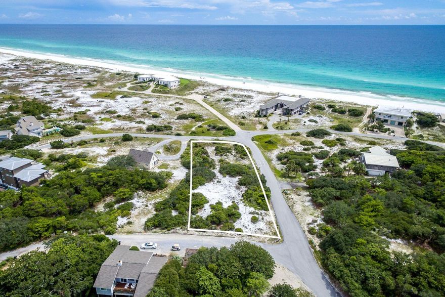 Rare opportunity to own a .7 acre lot in the exclusive community of Four Mile Village. Surrounded by over 250 acres of the Coffeen Nature Preserve, and adjacent to the 1640 acre Topsail Hill State Forest, there will only be 47 owners that get to enjoy the vast natural beauty. The buyer of this home site will be able to enjoy forever unobstructed views to the south because of deeded conservation areas. Chris Stoyles, with Archiscapes, has designed a sleek, West Coast style house that embraces the unique landscape while maximizing the incredible view corridors. The architectural work product will convey with the sale. Four Mile Village has miles of walking trails, access to a 50 acre coastal dune lake and 2,200 feet of private beach access. Check out....