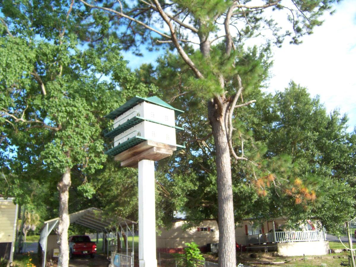 JUNIPER LAKE PINES UNIT I - Residential