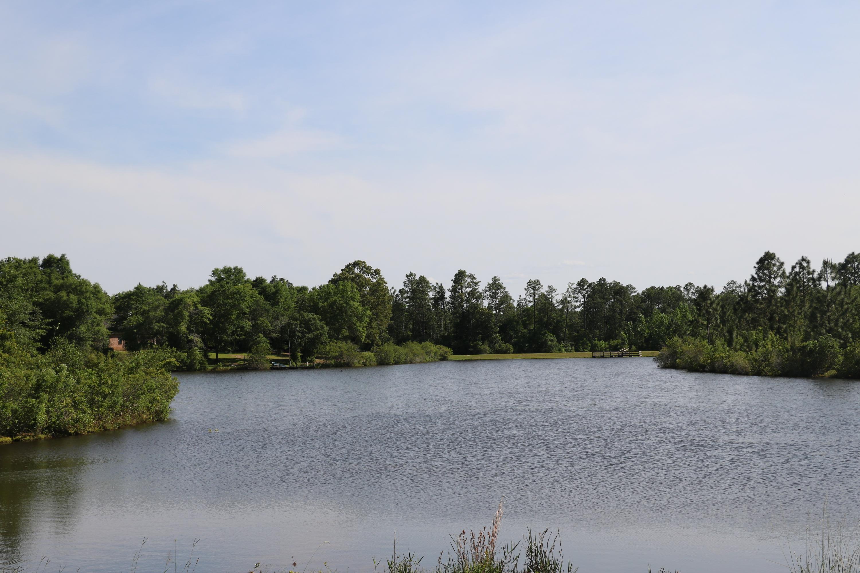 LAKE ARTHUR ESTATES PH 11 - Residential