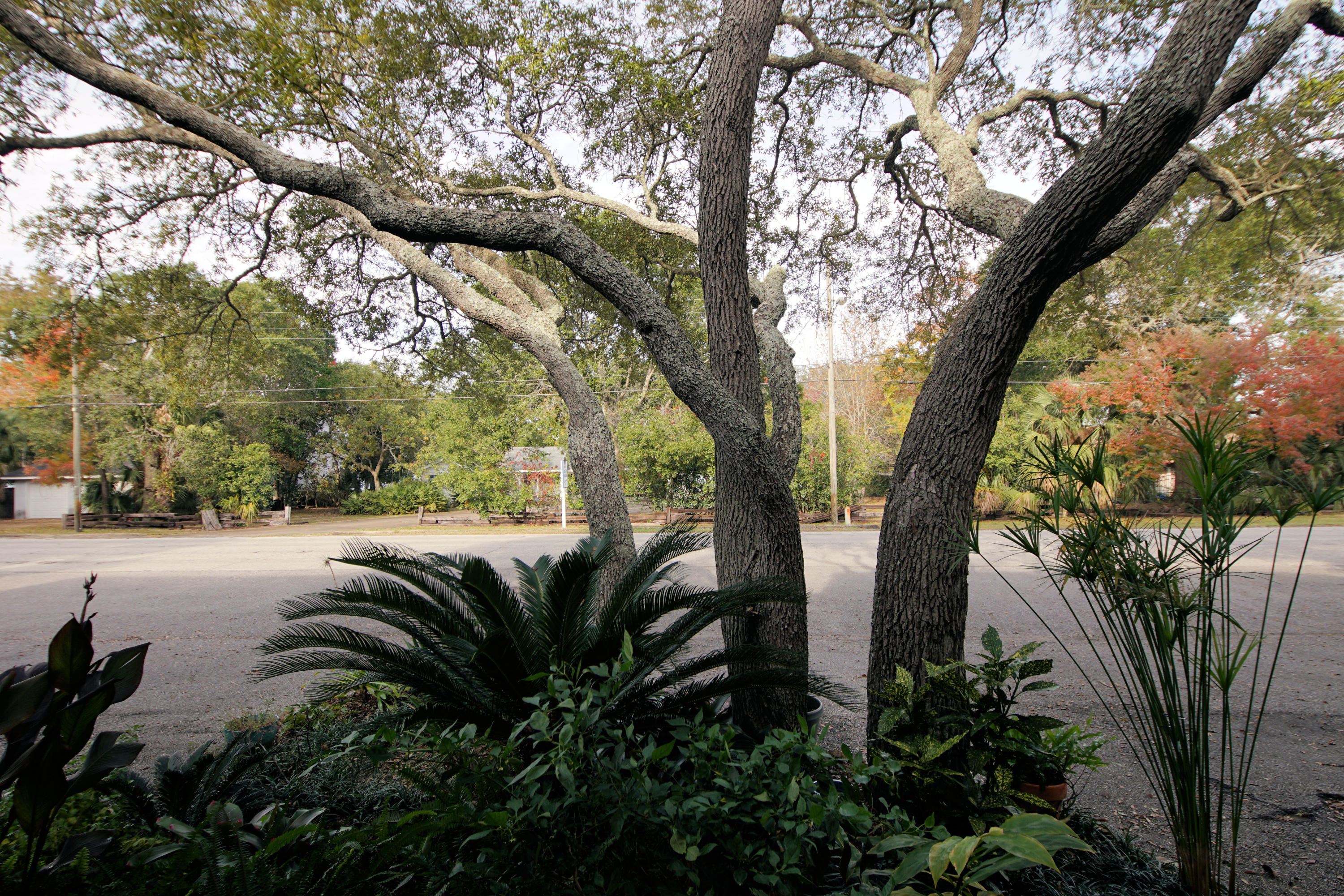 Cinco Bayou Cercle Nautique TH - Residential