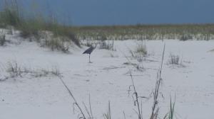 HIGHLAND PARKS - Residential