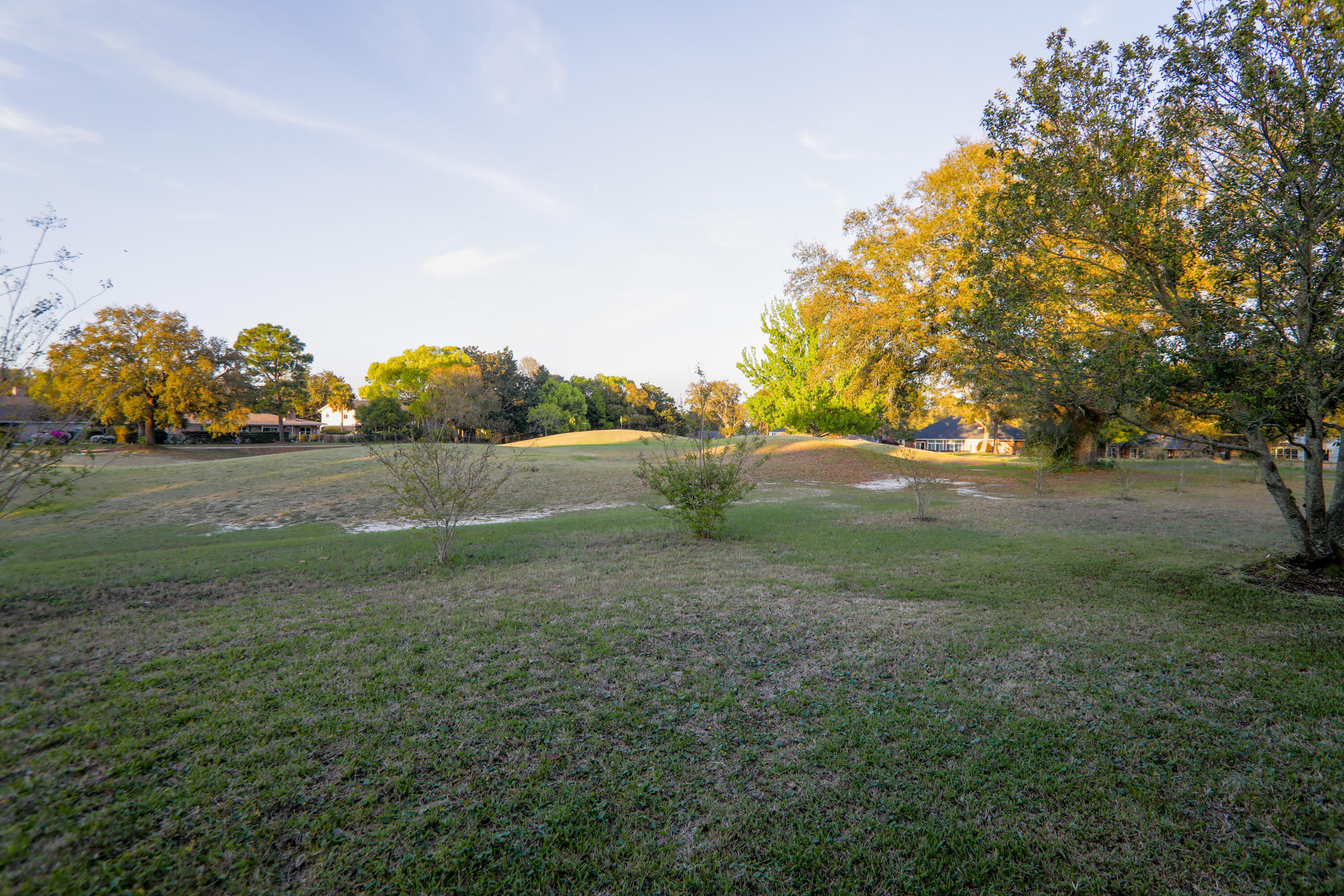 PALMETTO DUNES - Residential