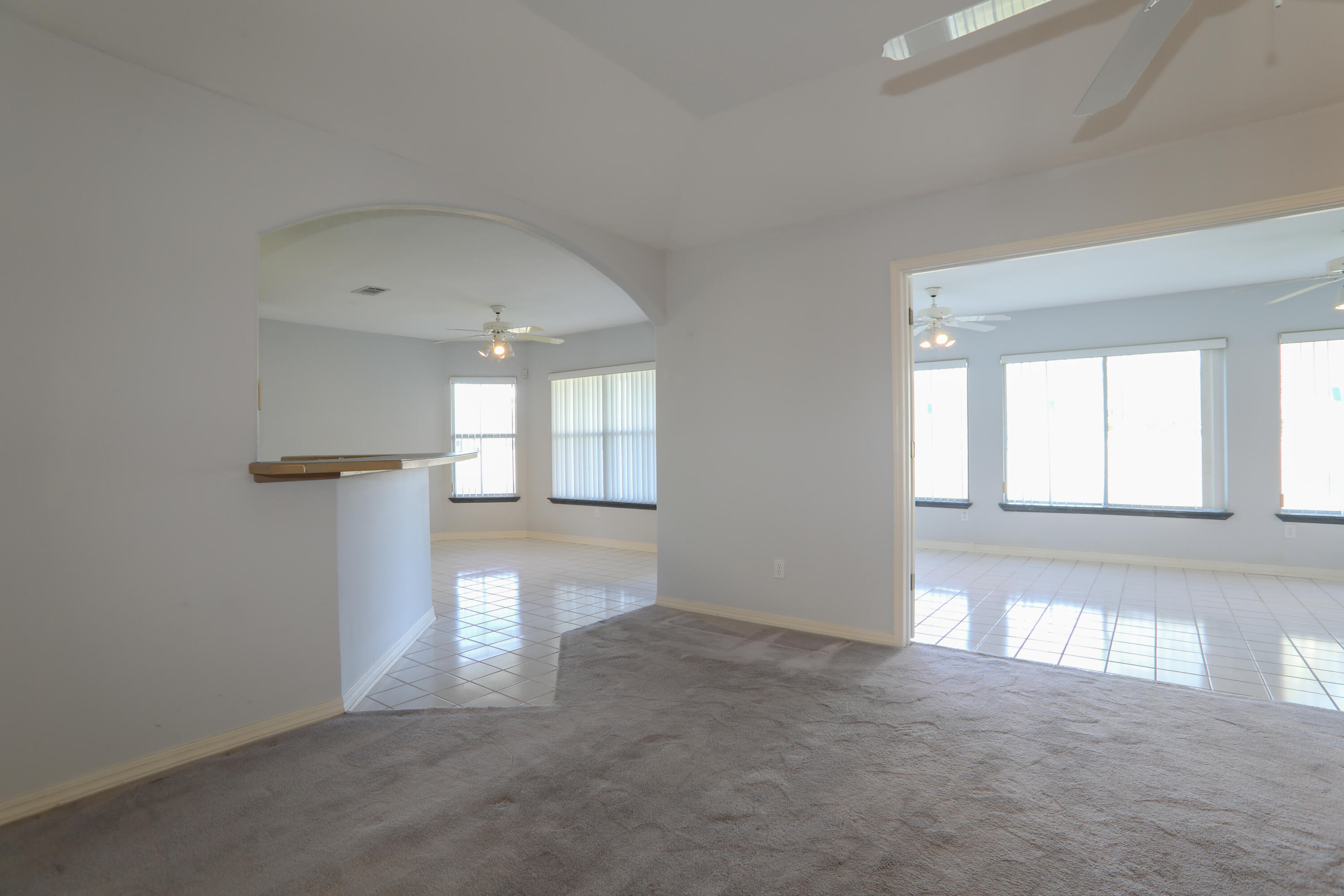 PALMETTO DUNES - Residential