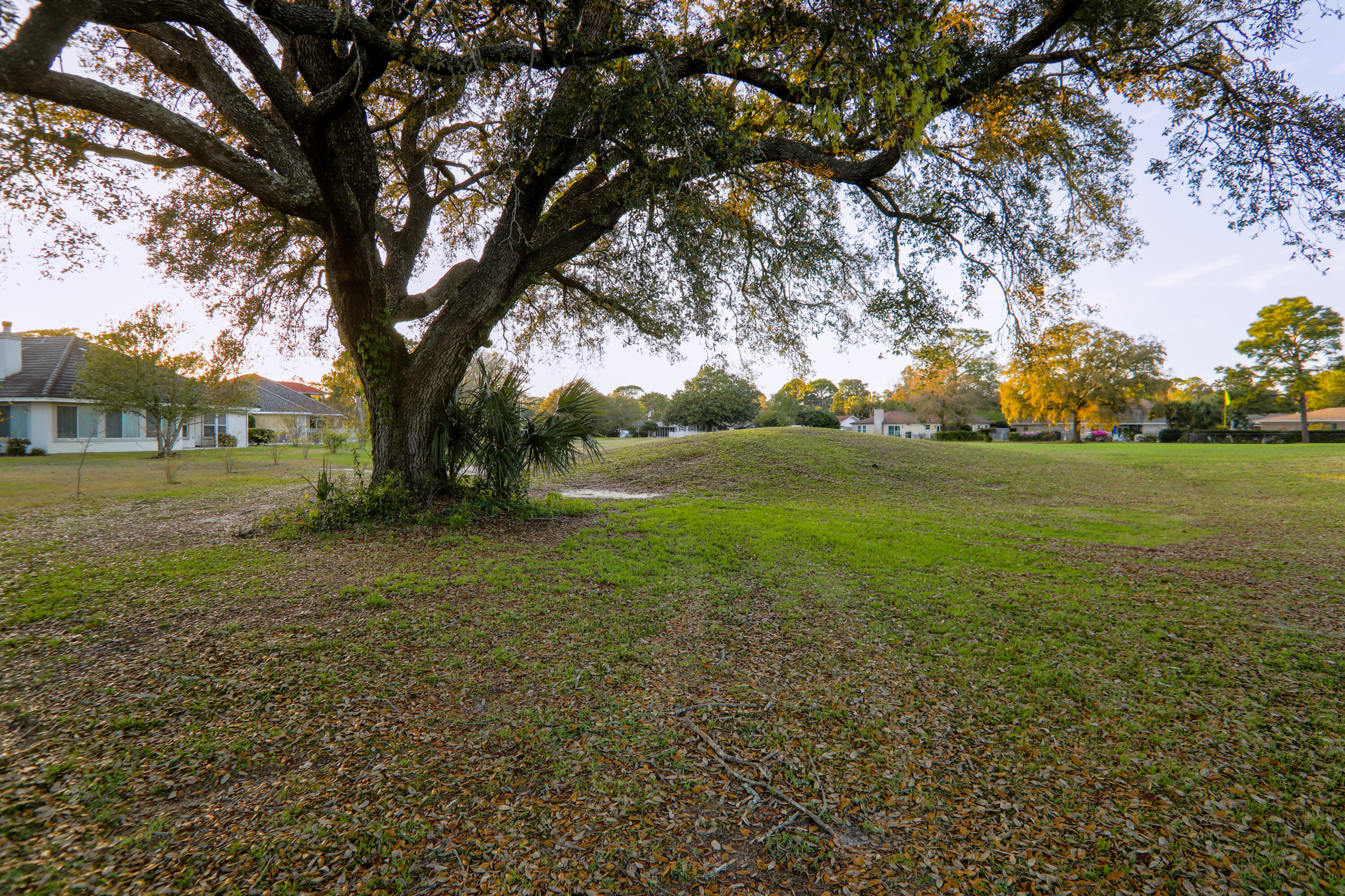 PALMETTO DUNES - Residential