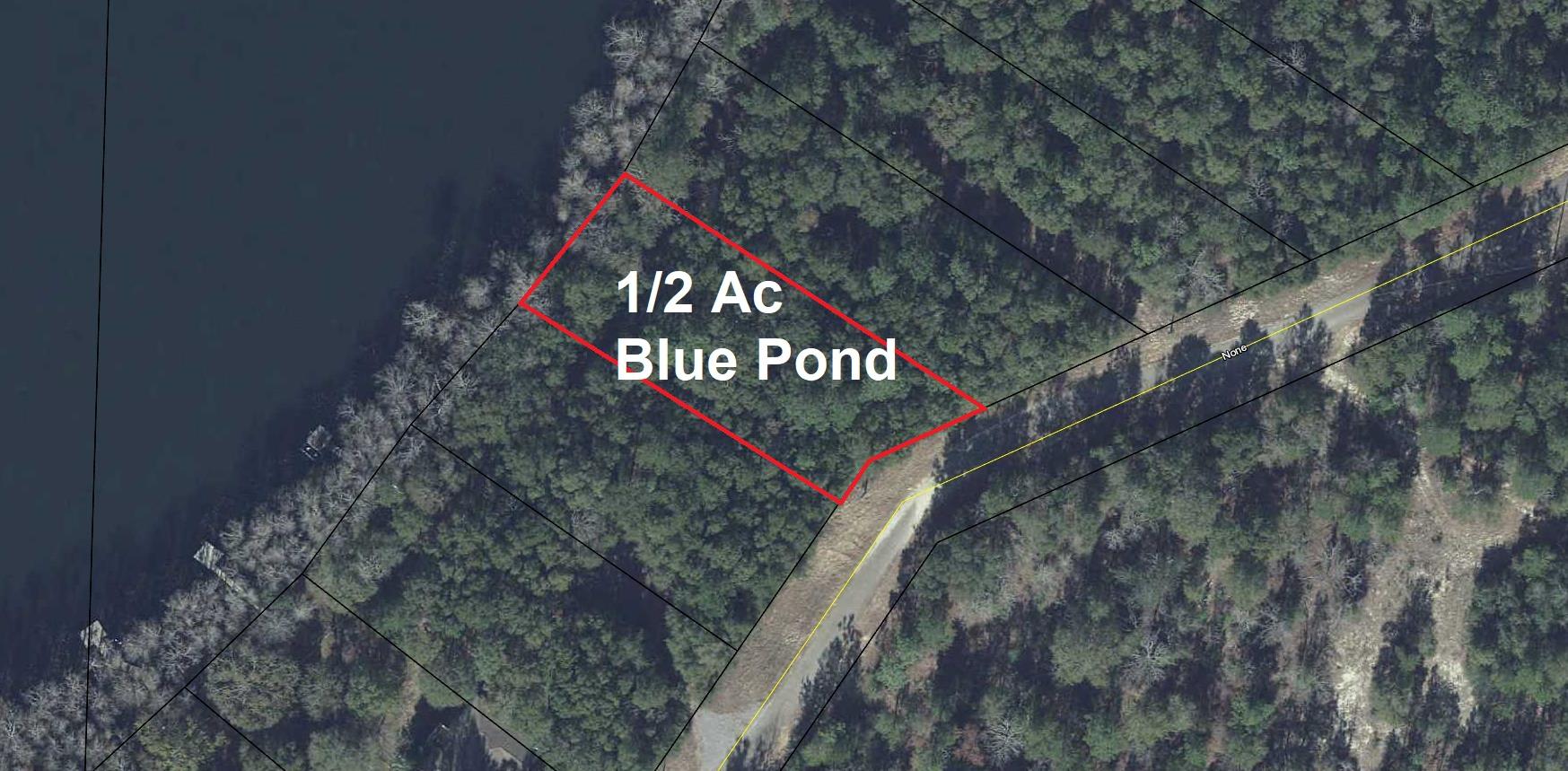 1/2 acre lot on Blue Pond, with apx. 95 feet on the water. Blue Pond is a 50 acre, 30 foot deep, natural spring-fed lake. This is one of the few swimming lakes in the area. This is a lightly wooded lot with a gentle slope to the lake. Seller has existing survey and perk test has been completed. This is a great place to build your dream home...no mobile homes allowed!