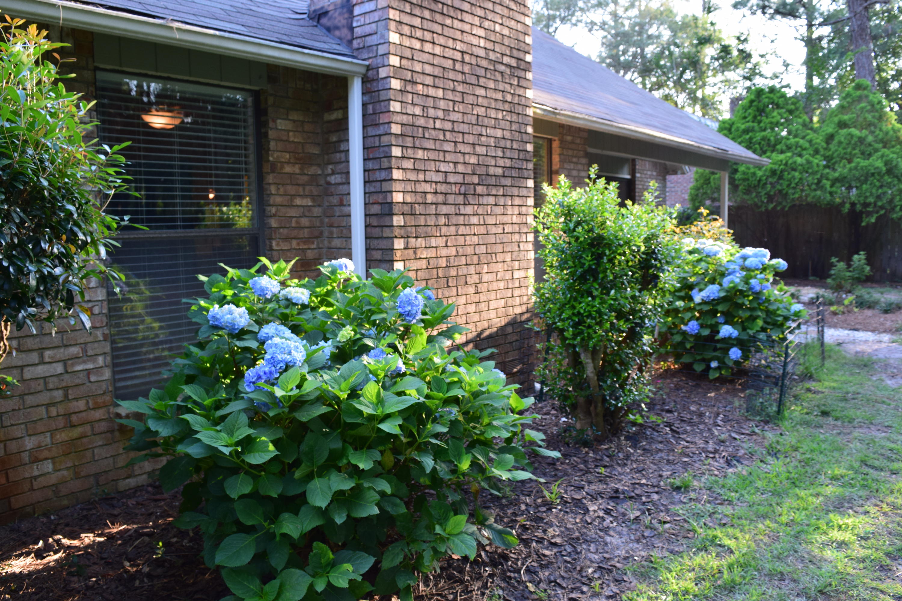 CARIBBEAN VILLAGE SOUTH 2 - Residential