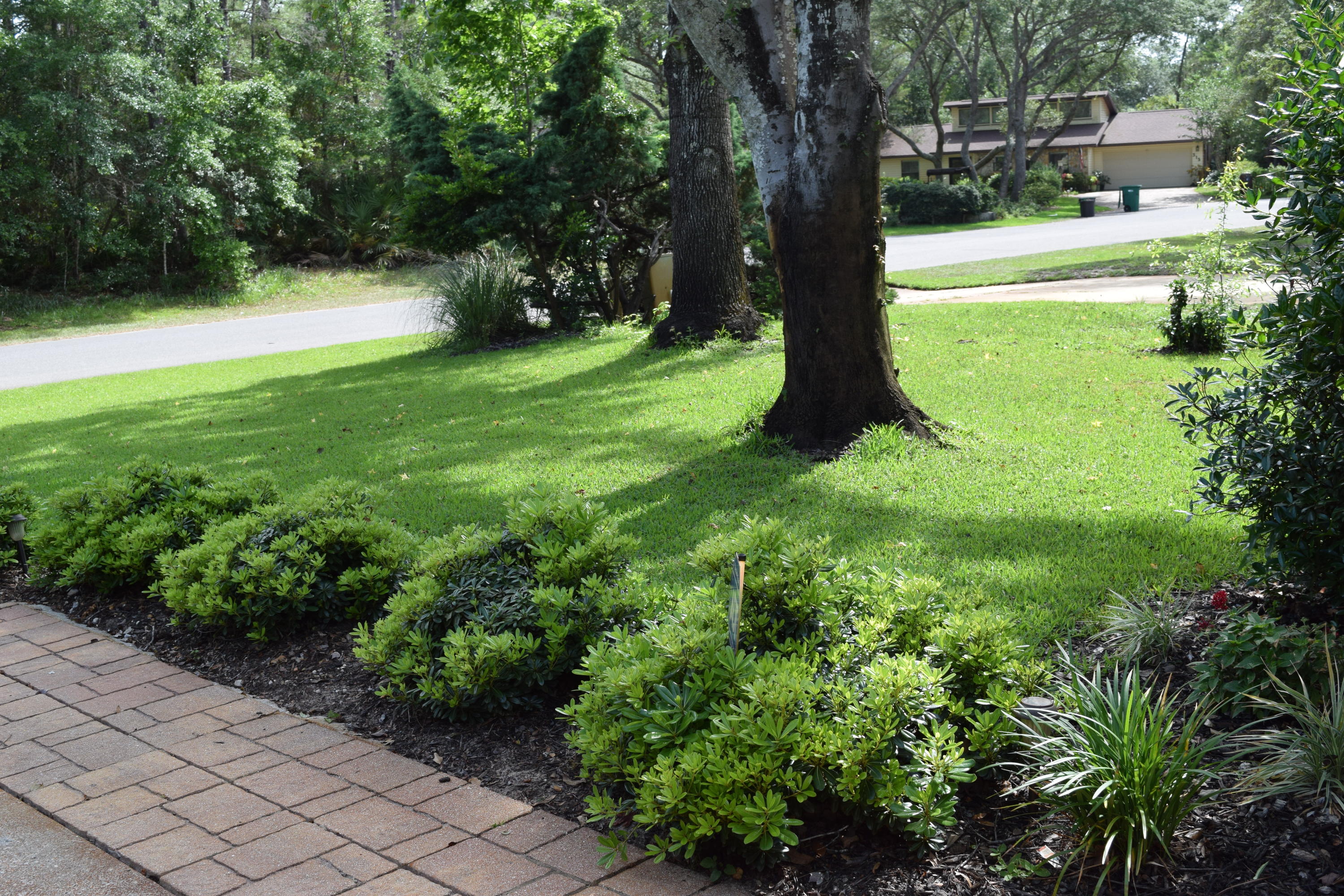 CARIBBEAN VILLAGE SOUTH 2 - Residential