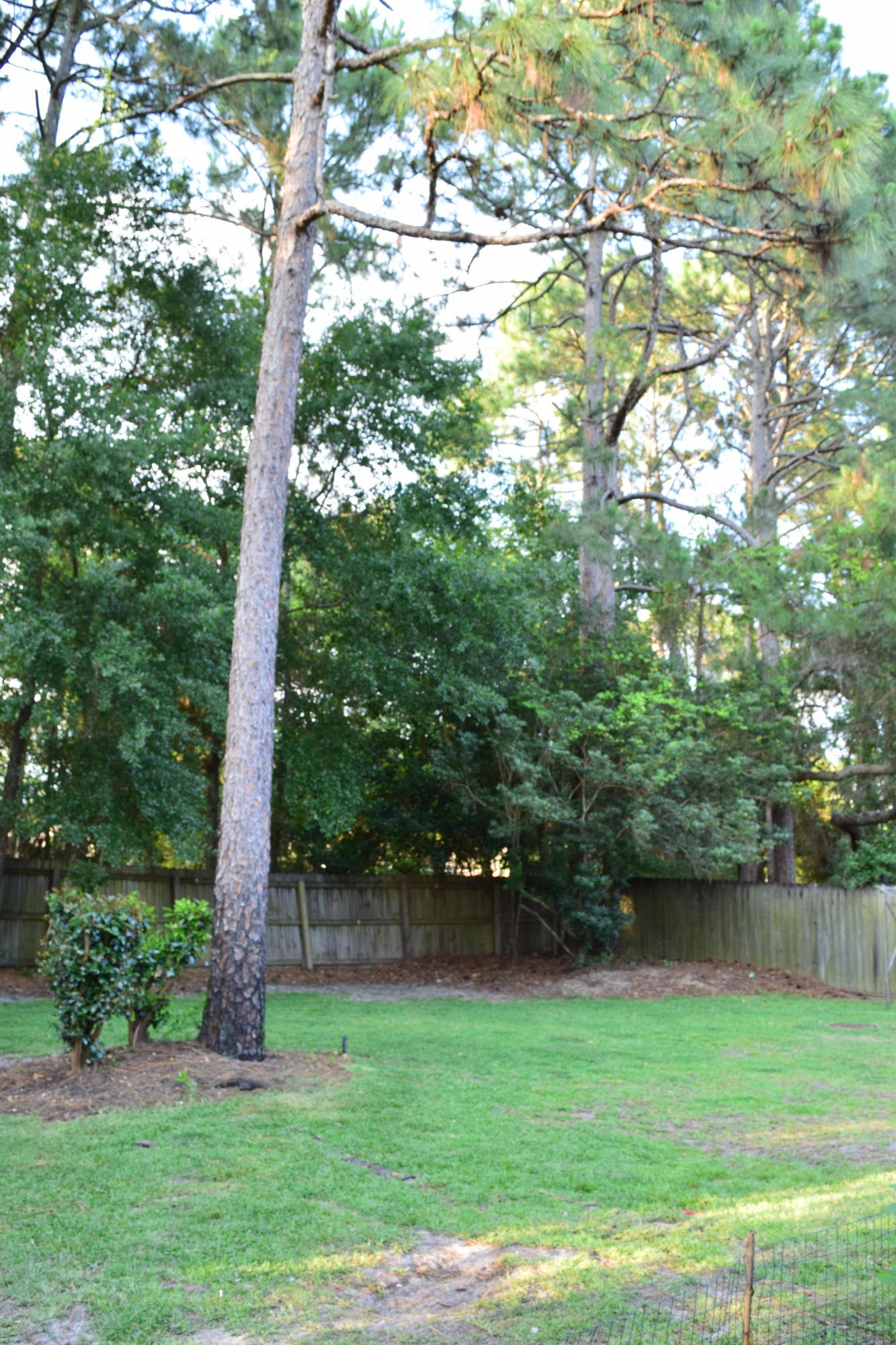 CARIBBEAN VILLAGE SOUTH 2 - Residential