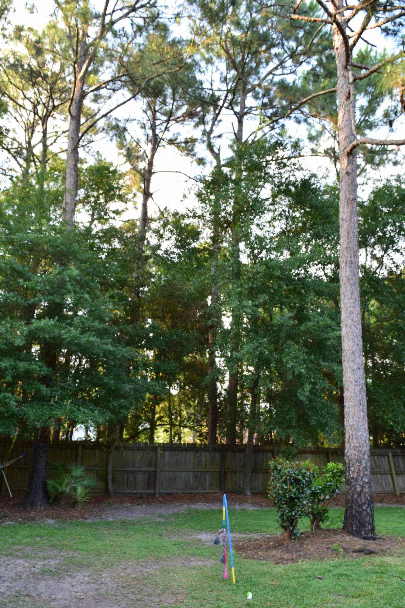 CARIBBEAN VILLAGE SOUTH 2 - Residential