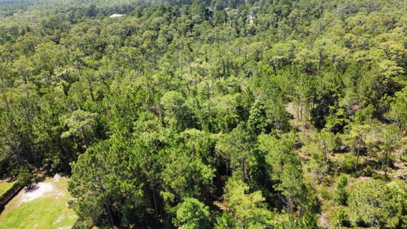 Mack Bayou Pines S/D - Land