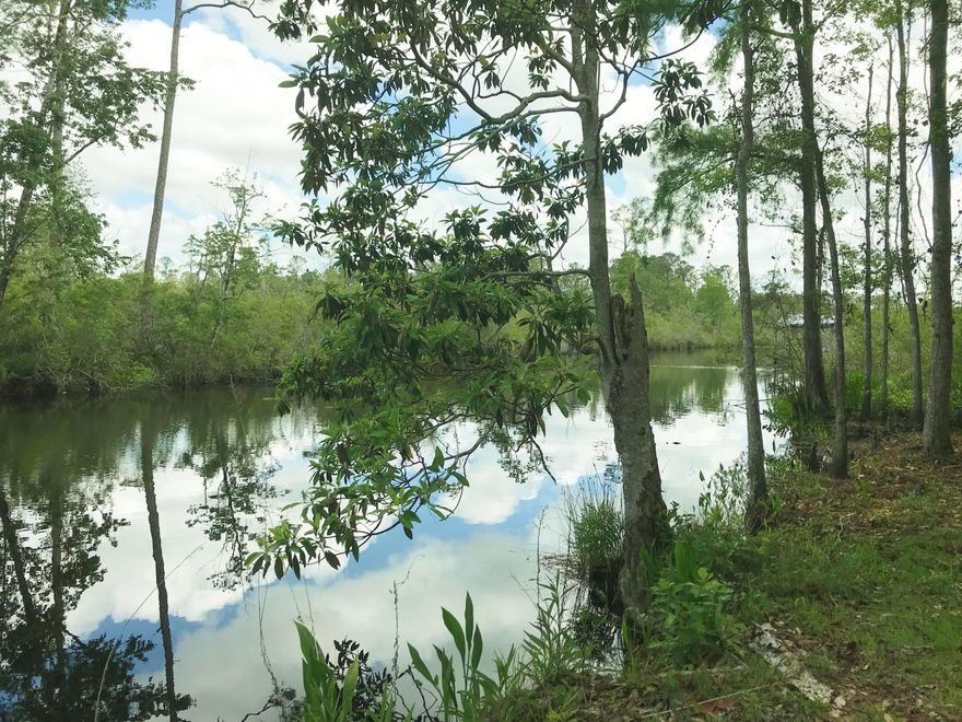 140 Waterfront Feet on deep-water Goodwin Creek on .99 acre. Secluded, beautiful tree-shaded property with ample cleared areas for a future weekend getaway or permanent home, garden and dock. Creek is approximately 50' wide in this area. Great fishing and water sports just a few minutes by boat down Goodwin Creek to the Choctawhatchee Bay, Intercoastal Waterway or on to Destin to Crab Island and the Gulf of Mexico. Conveniently located in booming Freeport where Publix and other national chains recently opened. Freeport lifestyle offers great schools, sports complex and community feel.Only a 15 minute drive to the sugar sand Beaches of South Walton and turquoise waters of the Gulf of Mexico, restaurants and shopping. Please see Documents tab for Survey showing both properties.