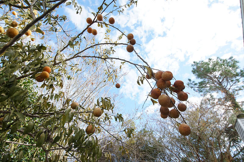 HERITAGE - Residential