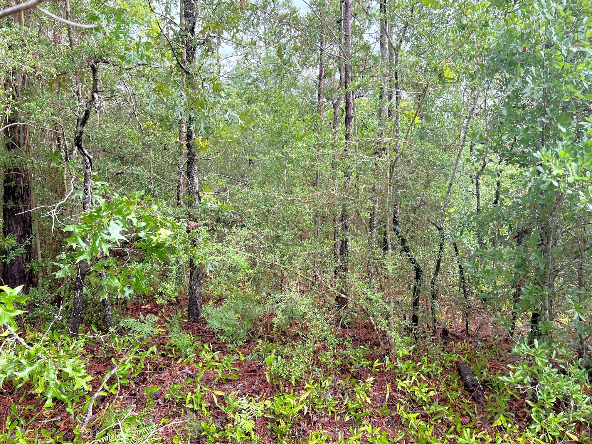 OAKWOOD HILLS UNIT 1 - Land