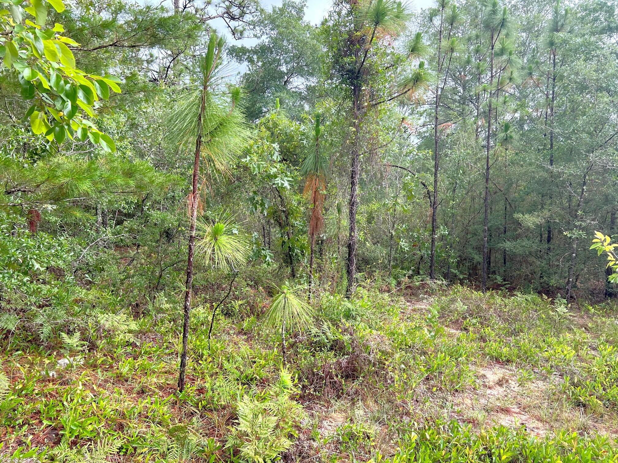 OAKWOOD HILLS UNIT 1 - Land