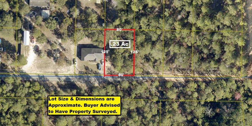 This 80x125 wooded lot is just under 1/4 acre and located on paved road in growing Mossy Head community of Defuniak Springs. Property is located minutes from Blackstone Golf Course and I-10. Defuniak Springs & Crestview apx. 20 minutes and apx. 40 minutes to Niceville & Eglin AFB. No utilities currently on the property but power on street. Public water is available with paid tap fee (verify availability and cost with Mossy Head Water Works). Septic would be required. Manufactured homes allowed!NOTE: You'll want to access E Crocus off Walden Rd.  GPS may try to take you in off Blue Ridge Blvd to Clearwater Dr.  DO NOT TAKE THAT ROUTE (Clearwater is clay and not well maintained).