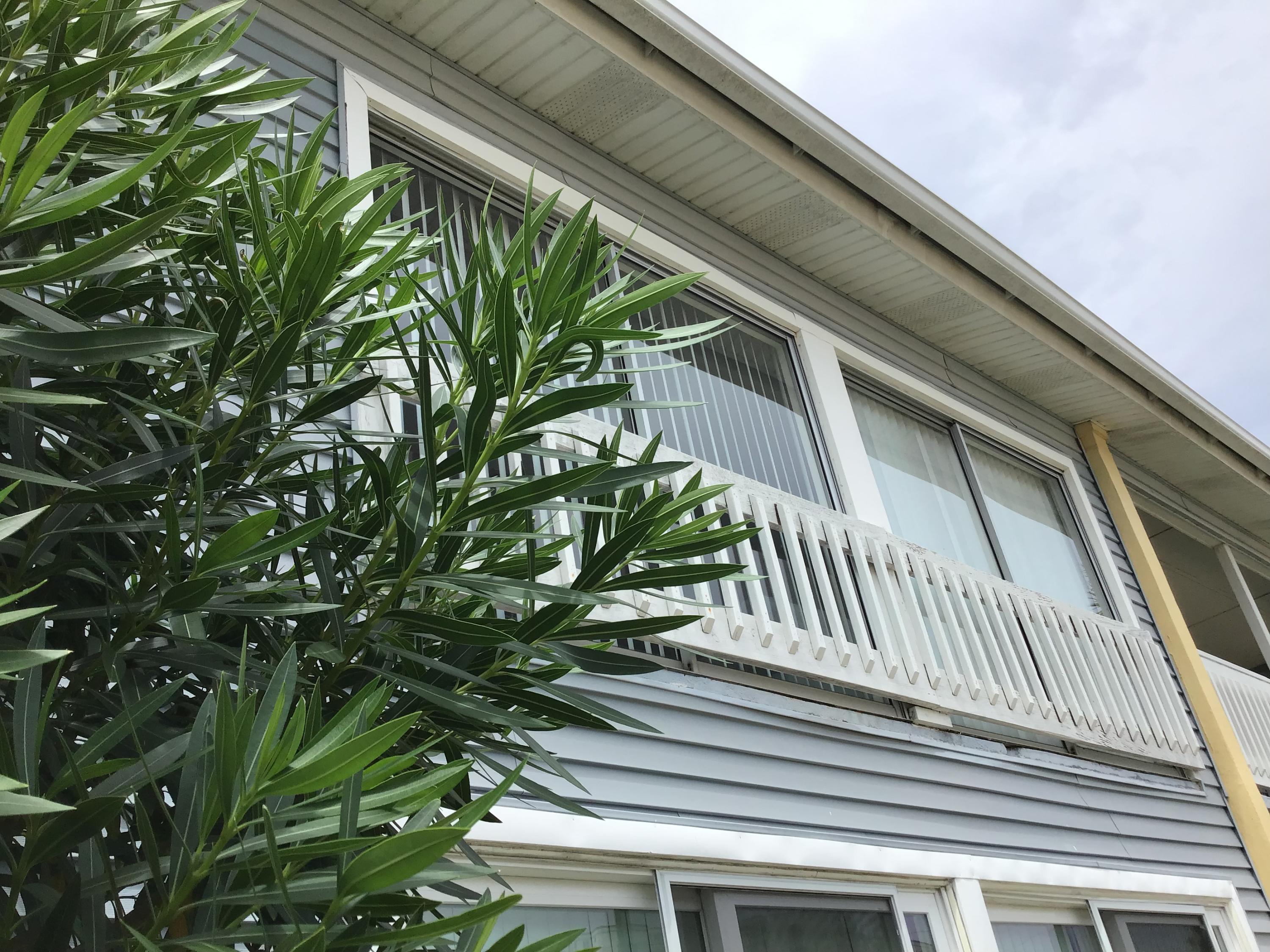 GULF TERRACE CONDO - Residential