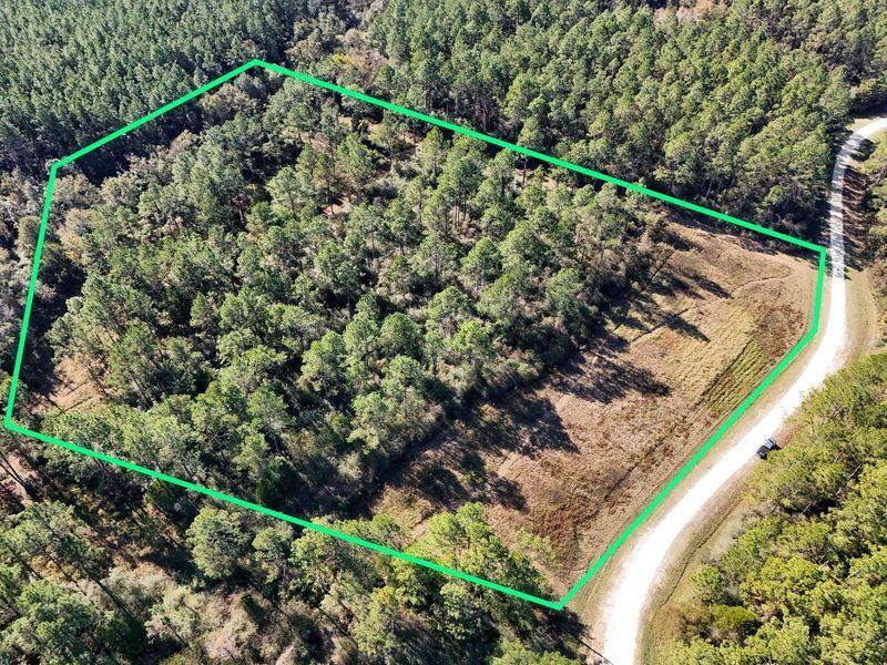 Vacant land in the heart of Holmes County. Seller has made improvements to include clearing lanes for traversing the property. This property is located in Reedy Creek Subdivision, consisting of lots no less than 5 acres in size, with restrictions in place to protect your investment. This acreage is home to mature oaks and large pines. Hunting is permitted, which the land is currently being used for. Electricity is available at the road. Well and septic tank would be required if you choose to build your dream home or hunting escape. Please contact listing agent or your realtor for an appointment before going onto property!