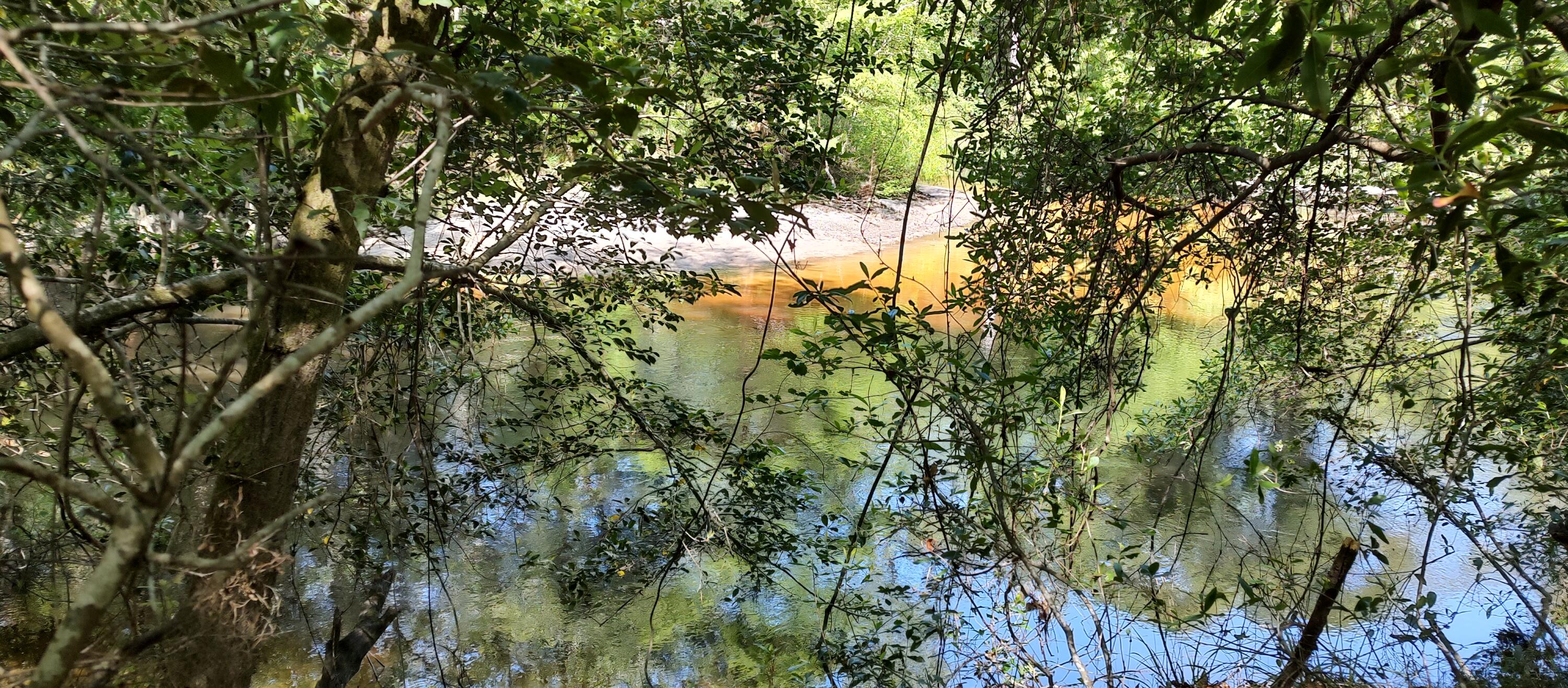 Shoal River Plantations, Inc. - Land