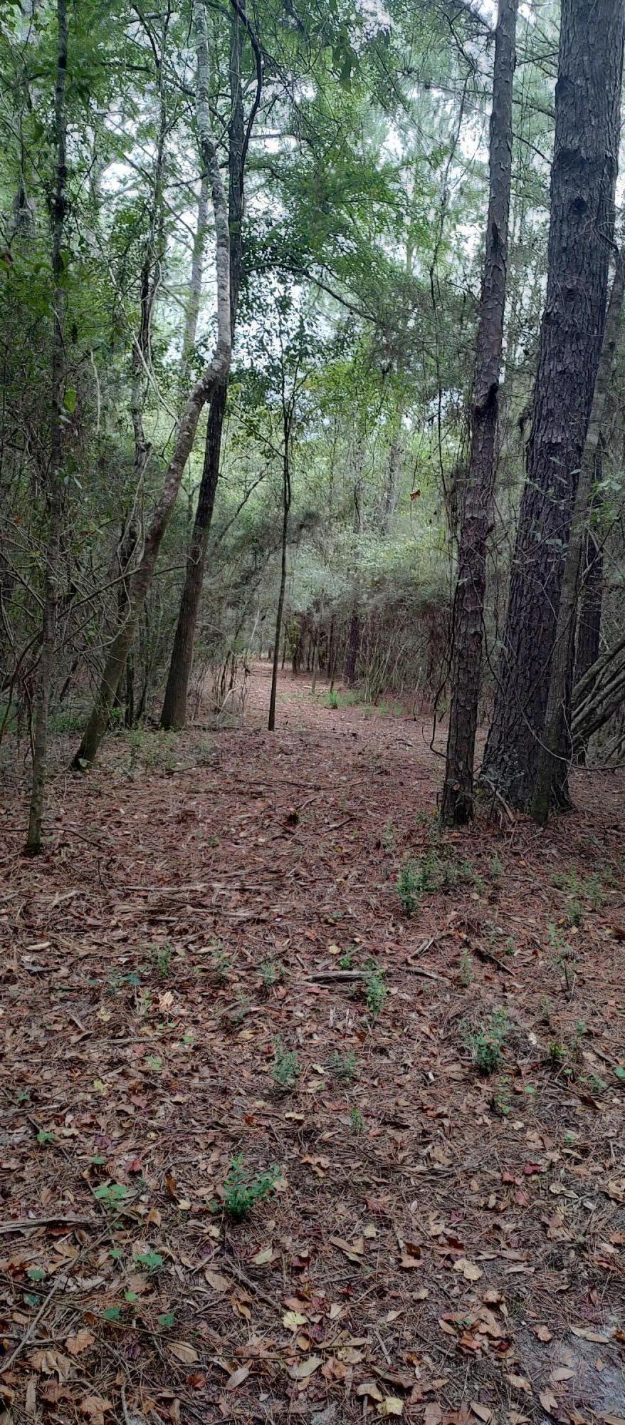 Shoal River Plantations, Inc. - Land