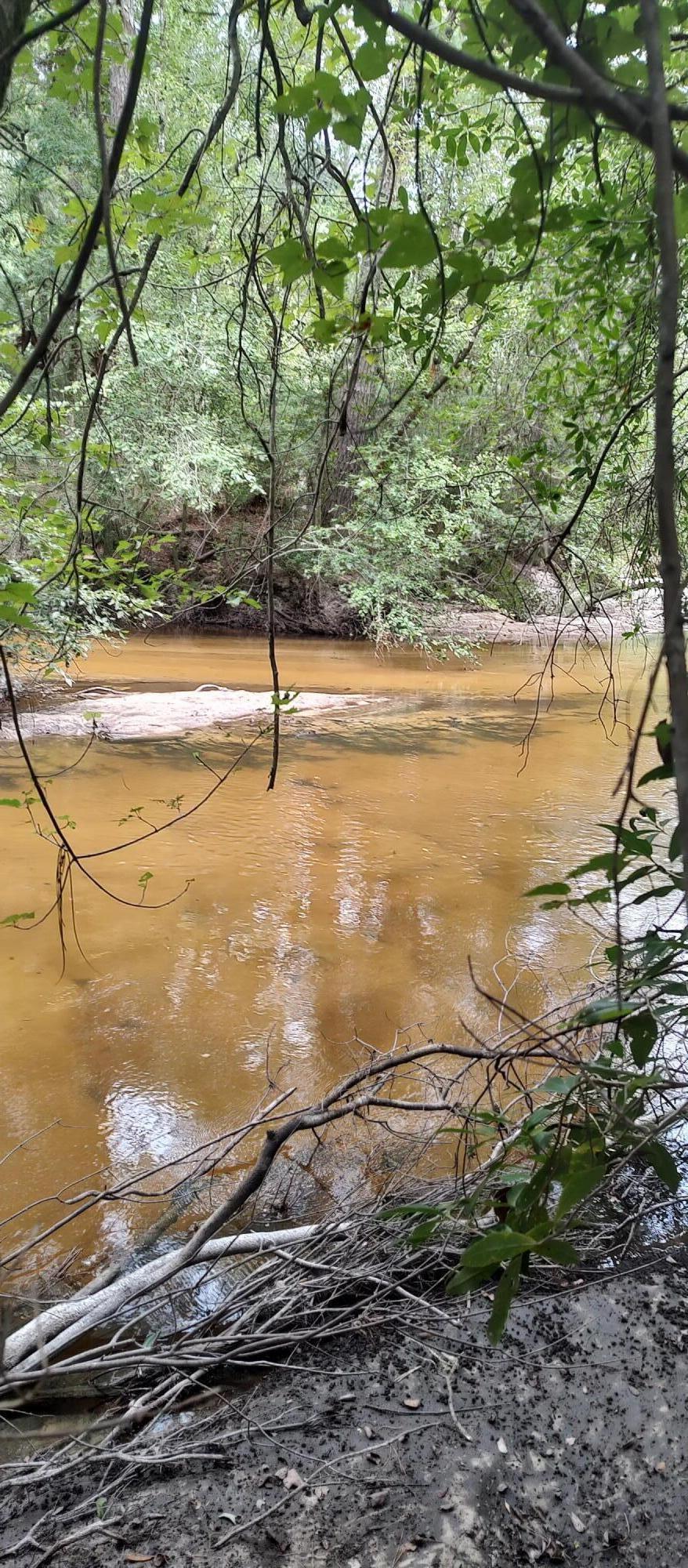 Shoal River Plantations, Inc. - Land