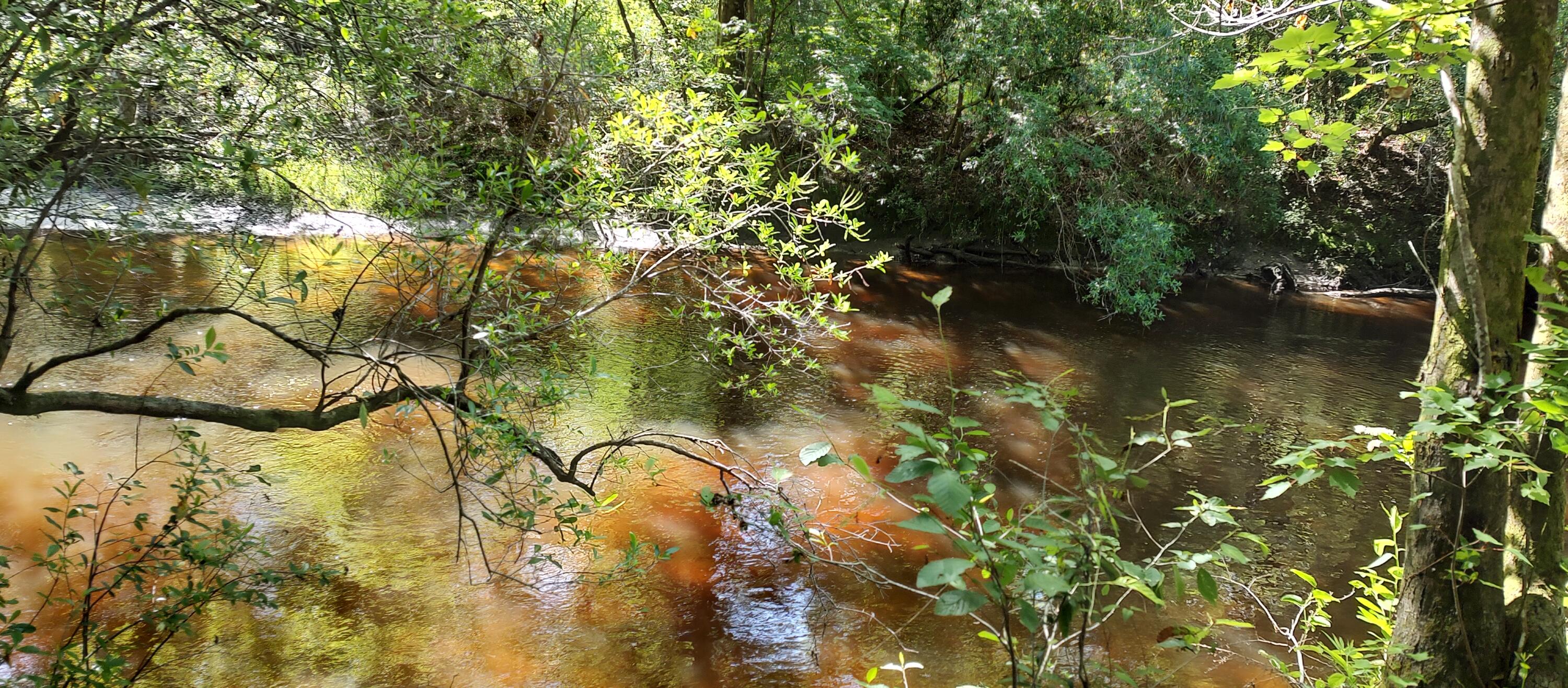 Shoal River Plantations, Inc. - Land