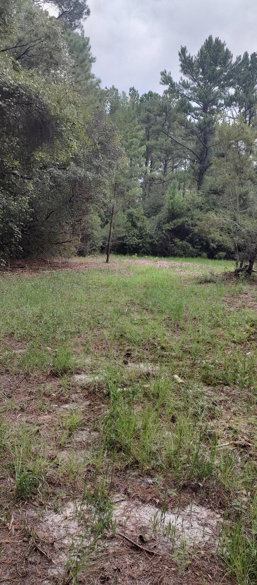 Shoal River Plantations, Inc. - Land