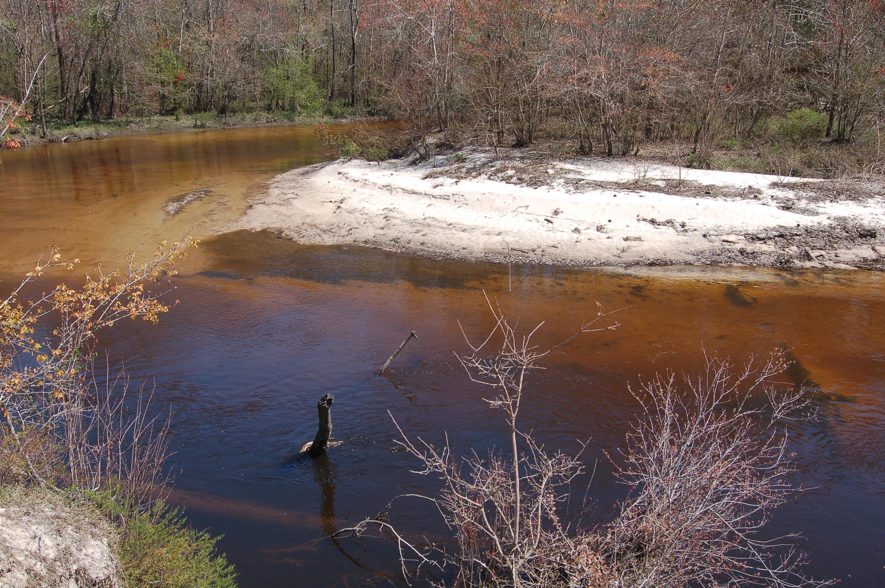 Shoal River Plantations, Inc. - Land