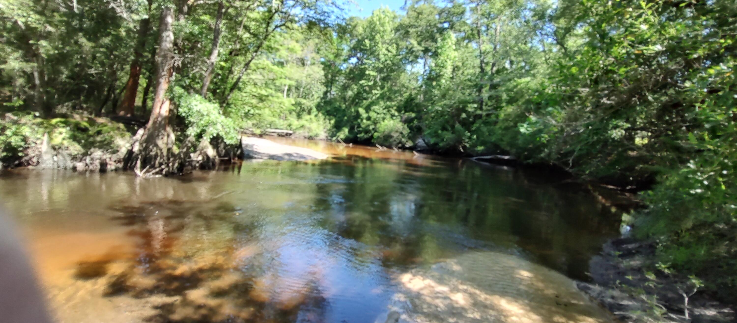 Shoal River Plantations, Inc. - Land