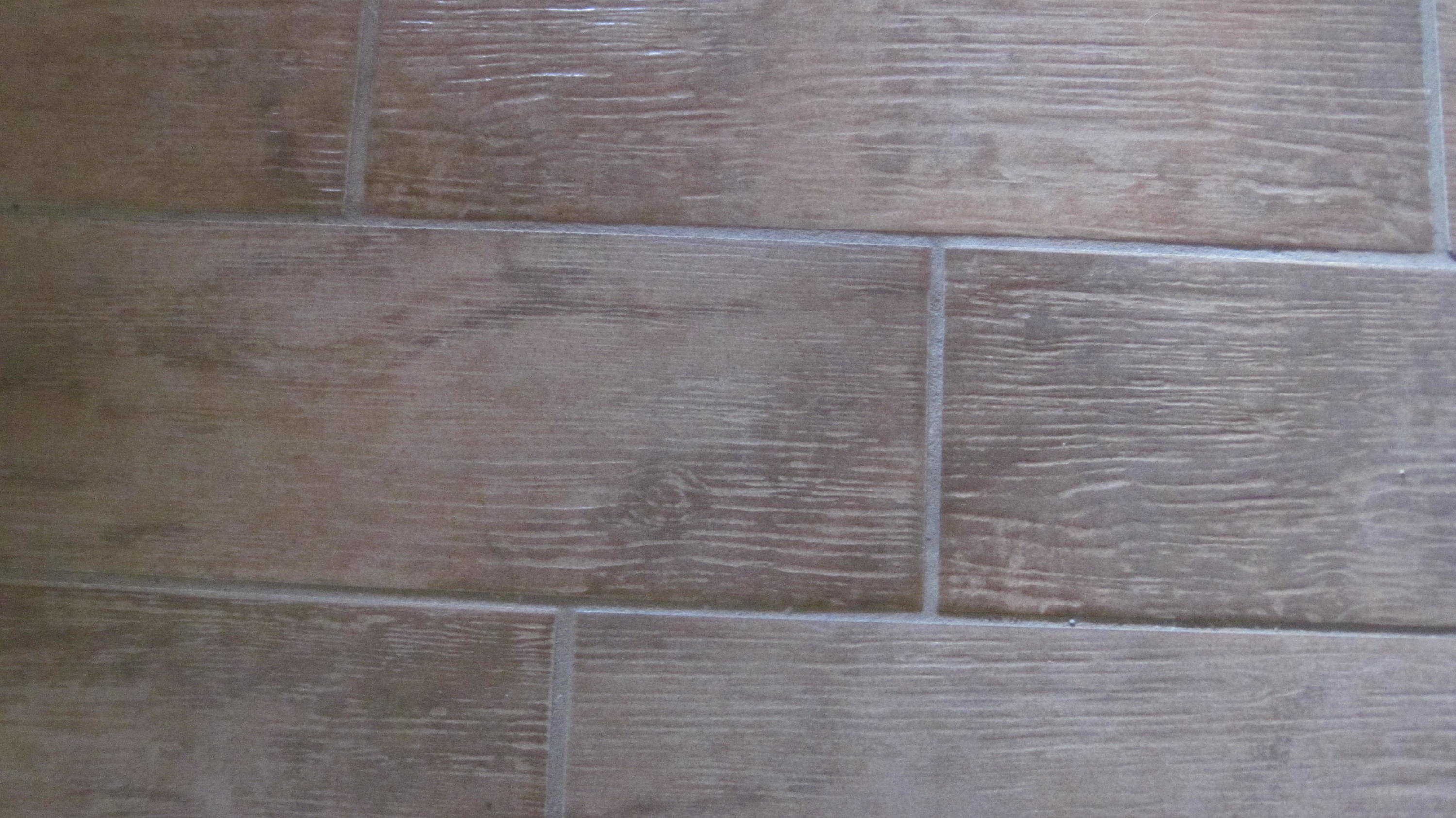 SUMMER TREE - Residential