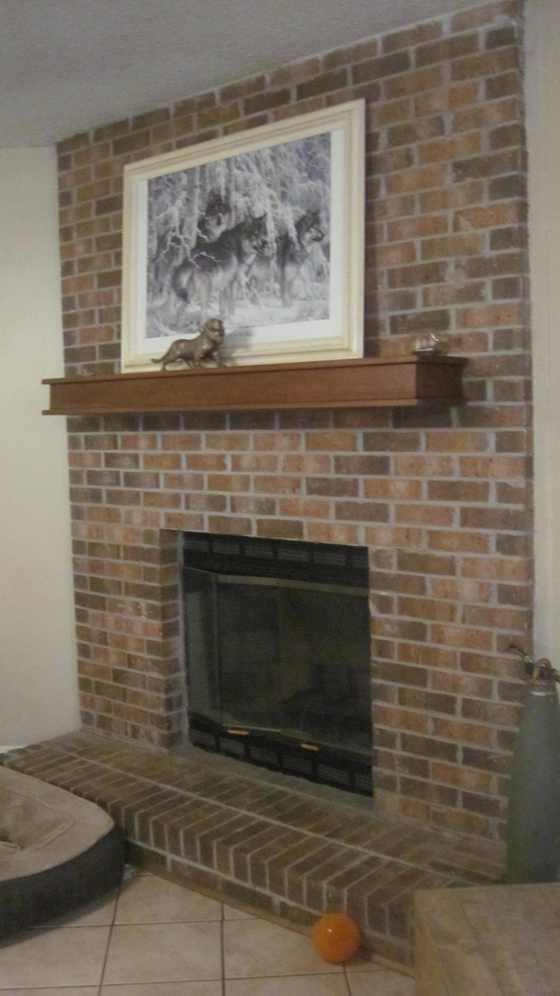 SUMMER TREE - Residential