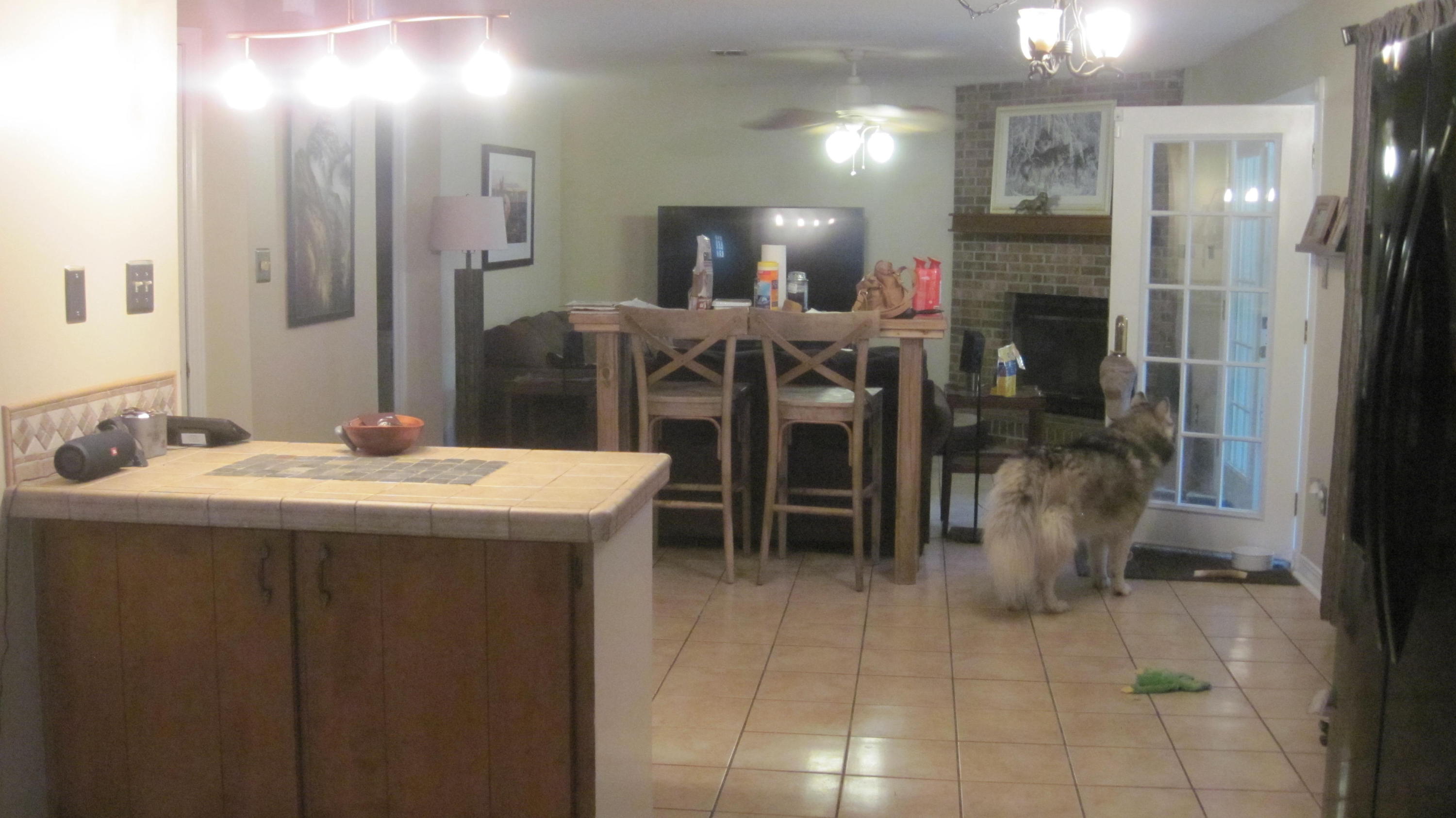 SUMMER TREE - Residential