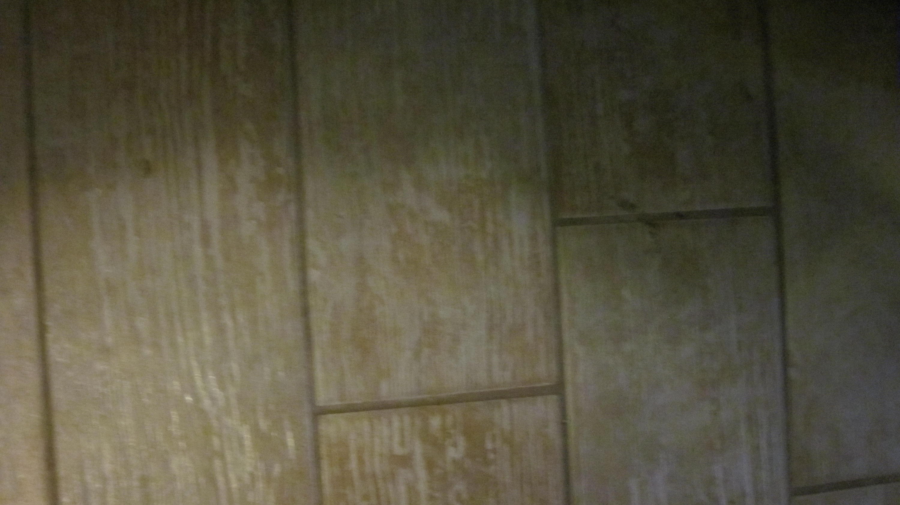 SUMMER TREE - Residential