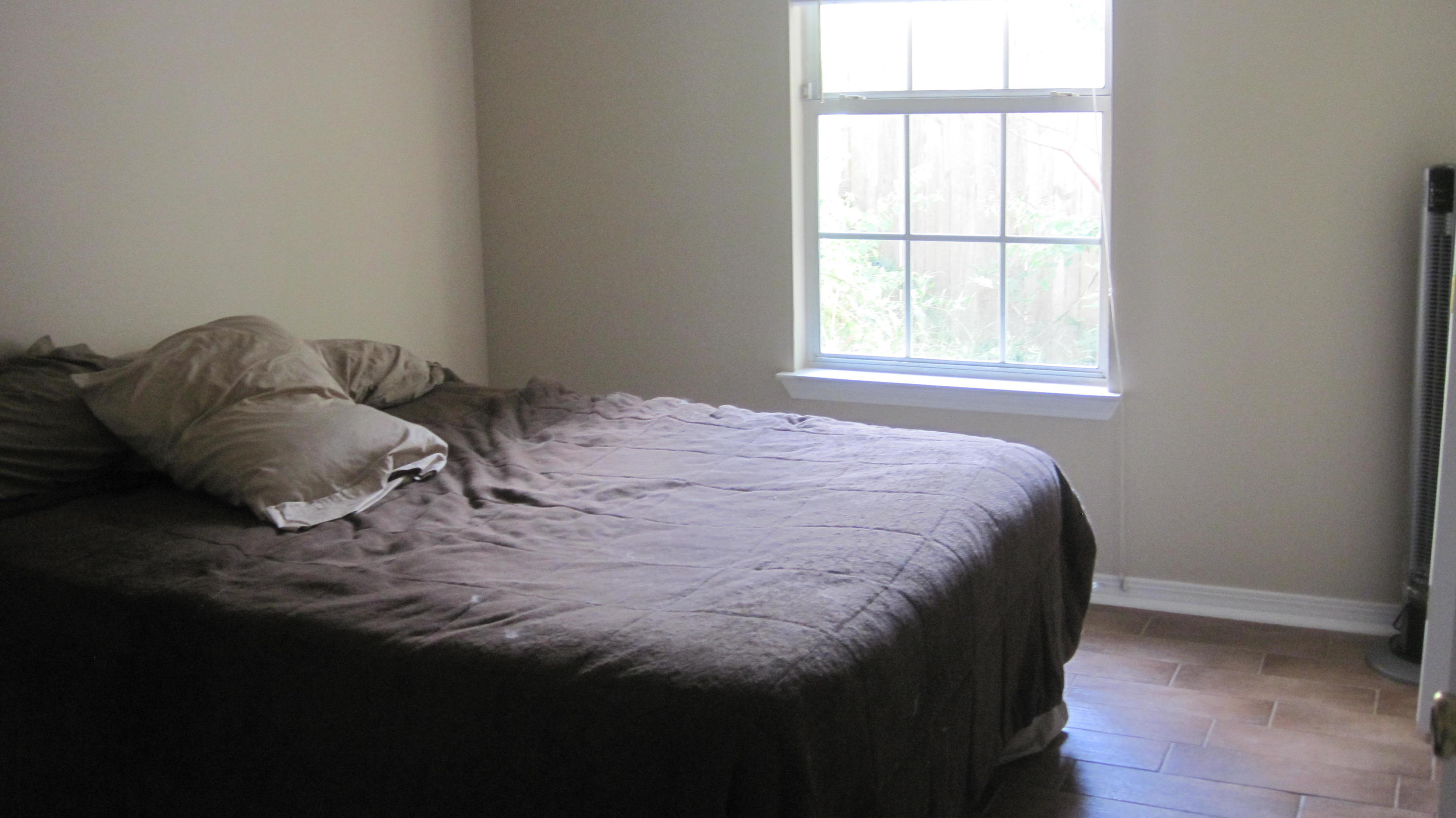 SUMMER TREE - Residential