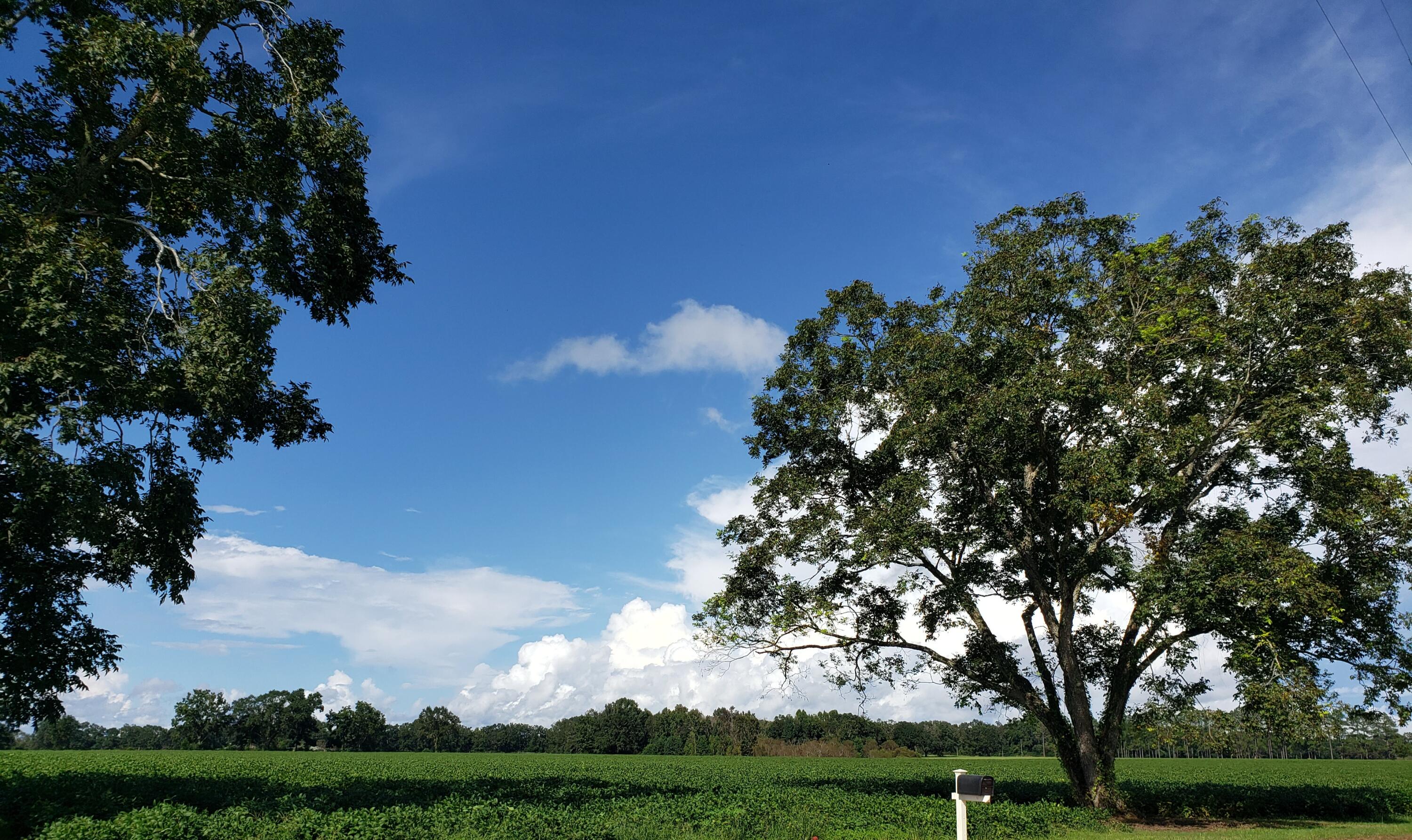 NORTH SUPERGROUP - Residential