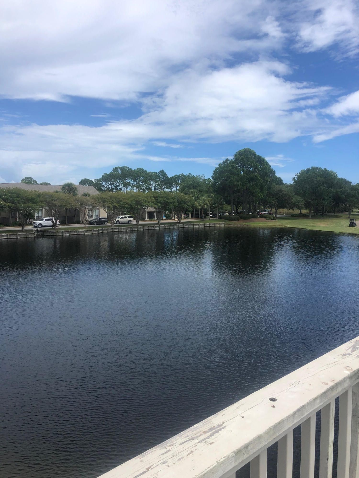 HARBOUR POINT CONDO - Residential