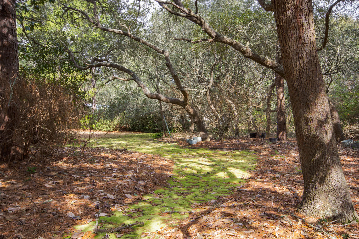 MORENO ACRES S/D - Residential