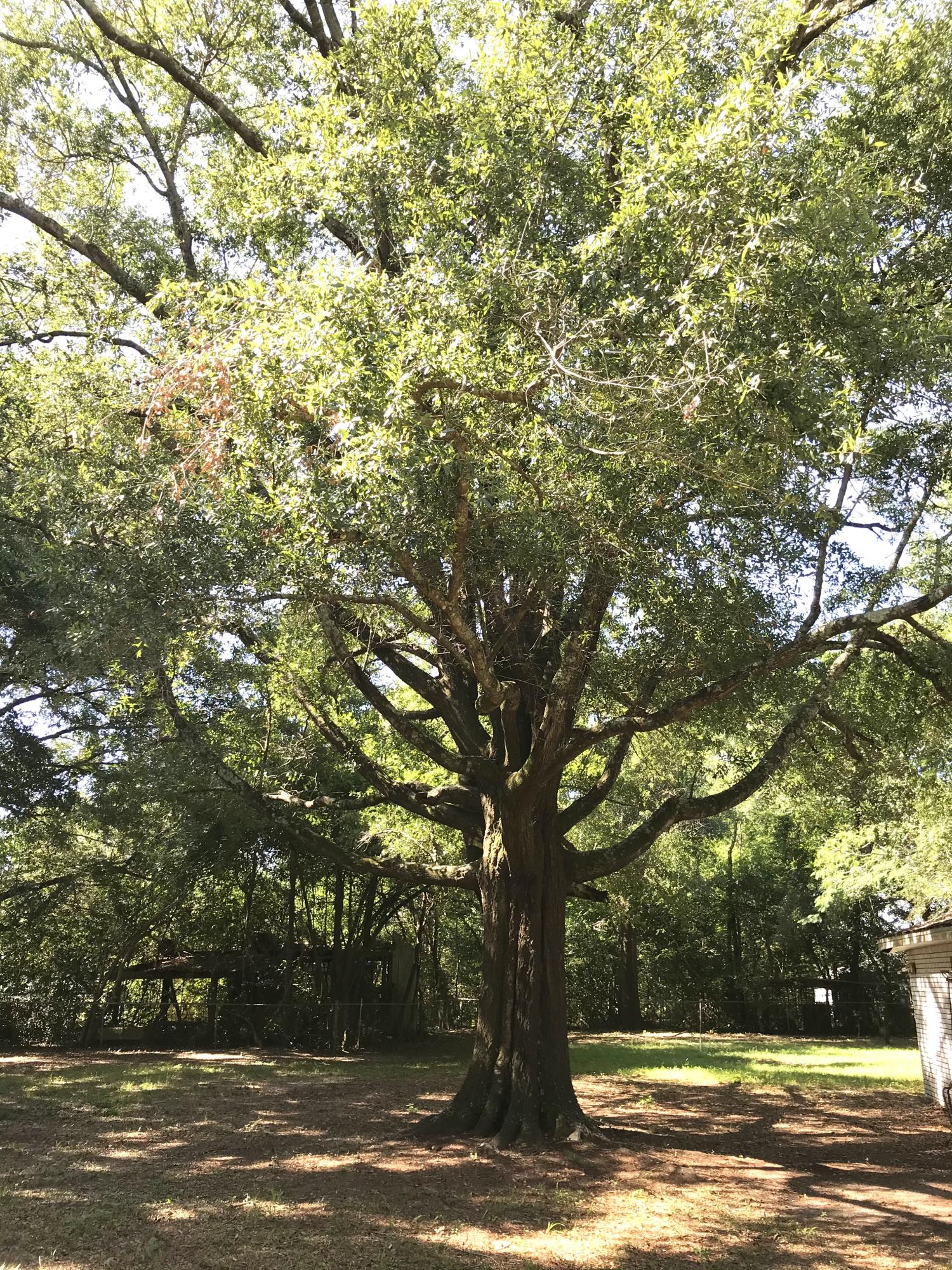 EDNEYS WEST HILL - Residential