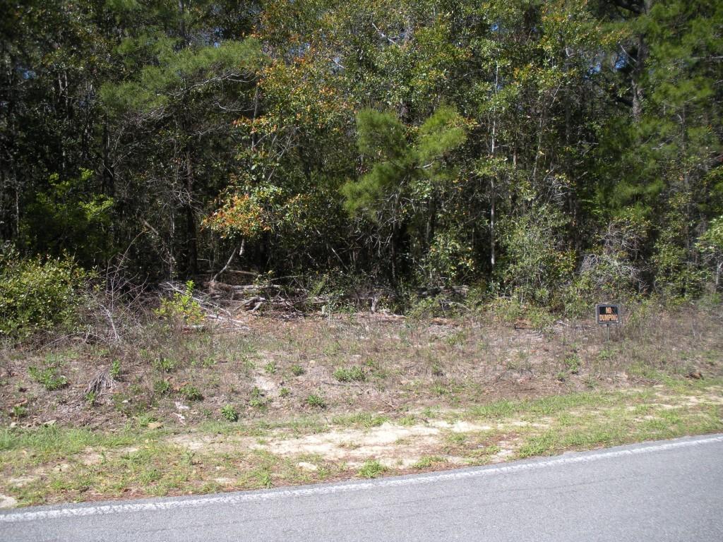 Daugettes First Add to Choctawhatchee Bch - Land