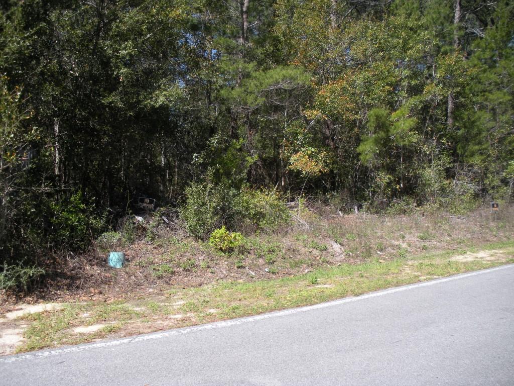 Daugettes First Add to Choctawhatchee Bch - Land