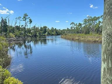 Landings At Wetappo - Land