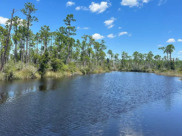 Landings At Wetappo - Land